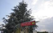 Туры в отель Hotel Cavalieri Pinerolo