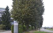 Туры в отель Hotel Cavalieri Pinerolo