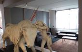 Туры в отель Hotel Cavalieri Pinerolo