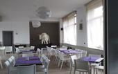 Туры в отель Hotel Cavalieri Pinerolo
