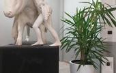 Туры в отель Hotel Cavalieri Pinerolo