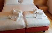 Туры в отель Hotel Cavalieri Pinerolo