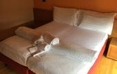 Туры в отель Hotel Cavalieri Pinerolo