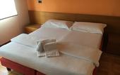 Туры в отель Hotel Cavalieri Pinerolo