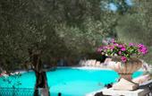 Туры в отель Albergo Terme Forlenza