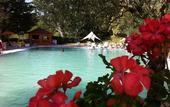Туры в отель Albergo Terme Forlenza