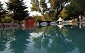 Туры в отель Albergo Terme Forlenza