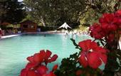 Туры в отель Albergo Terme Forlenza