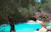 Туры в отель Albergo Terme Forlenza