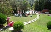 Туры в отель Albergo Terme Forlenza