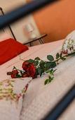 Туры в отель B&B Villa Sophie