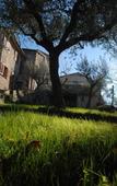 Туры в отель Ostello Bello Assisi Bevagna
