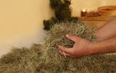 Туры в отель Gartenhotel Volser Hof - Adults Only