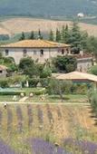 Туры в отель Il Poggio di Teo