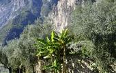 Туры в отель Maso Tobel Riva del Garda