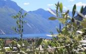 Туры в отель Maso Tobel Riva del Garda