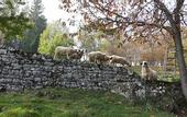 Туры в отель Maso Tobel Riva del Garda