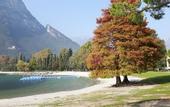 Туры в отель Maso Tobel Riva del Garda
