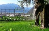 Туры в отель Maso Tobel Riva del Garda