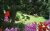 Туры в отель Hotel Trentino