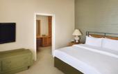 Туры в отель Movenpick Nabatean Castle Hotel
