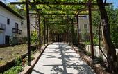 Туры в отель Hotel Gentile