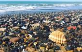 Туры в отель Gitavillage California
