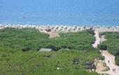 Туры в отель Gitavillage California