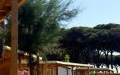 Туры в отель Gitavillage California