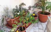 Туры в отель Casa dell'Aromatario b&b