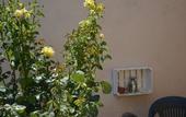 Туры в отель Villa Felice