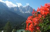 Туры в отель Bella Italia & Efa Village