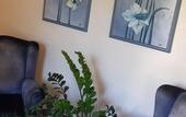 Туры в отель Roma Domus Hotel
