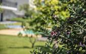 Туры в отель AGRO Sicily