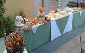 Туры в отель Hotel Villa Cheli
