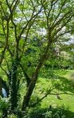 Туры в отель B&B Villa al Parco