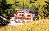 Туры в отель Hotel Grizzly