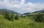 Туры в отель Hotel Grizzly