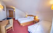 Туры в отель Hotel Grizzly