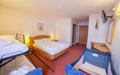 Туры в отель Hotel Grizzly