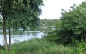 Туры в отель Hotel Centrale Latisana - Pertegada