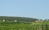 Туры в отель B&B Mimosa e Lilla