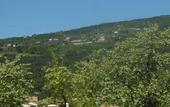 Туры в отель B&B Mimosa e Lilla