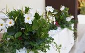 Туры в отель B&B Il Fiorone