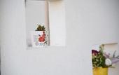 Туры в отель B&B Il Fiorone