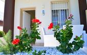 Туры в отель B&B Il Fiorone