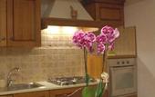 Туры в отель La Rosa dei Trulli B&B