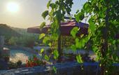 Туры в отель La Rosa dei Trulli B&B