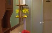 Туры в отель La Rosa dei Trulli B&B