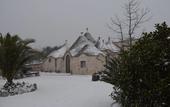 Туры в отель La Rosa dei Trulli B&B